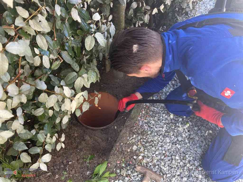 Rioolvliegjes Kampen Rioolvliegjes Kampen